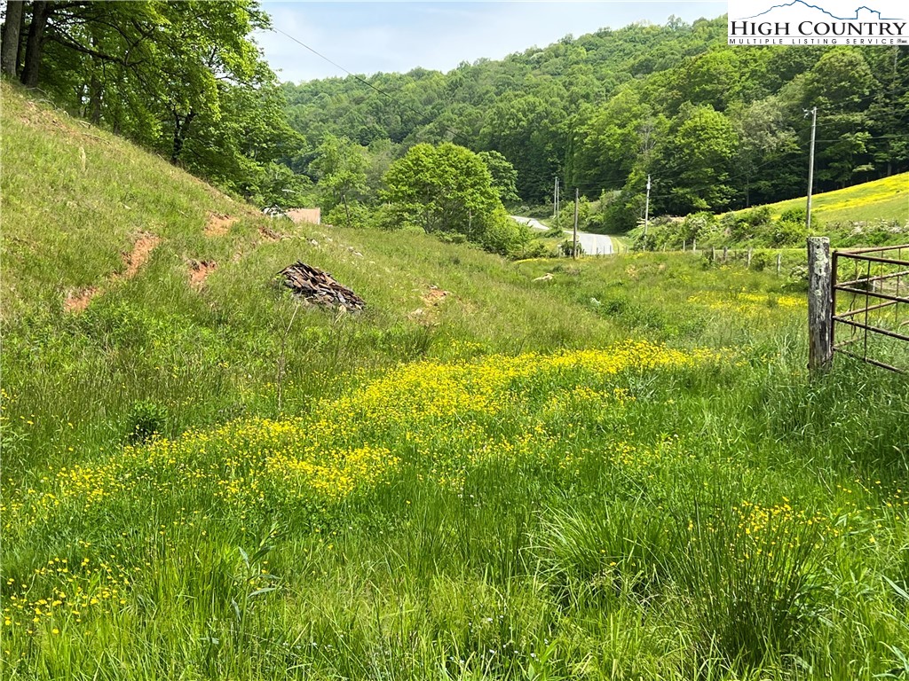 1267 Burkett Road Boone, NC 28607 - Photo 14 of 49 Gallery Image 14