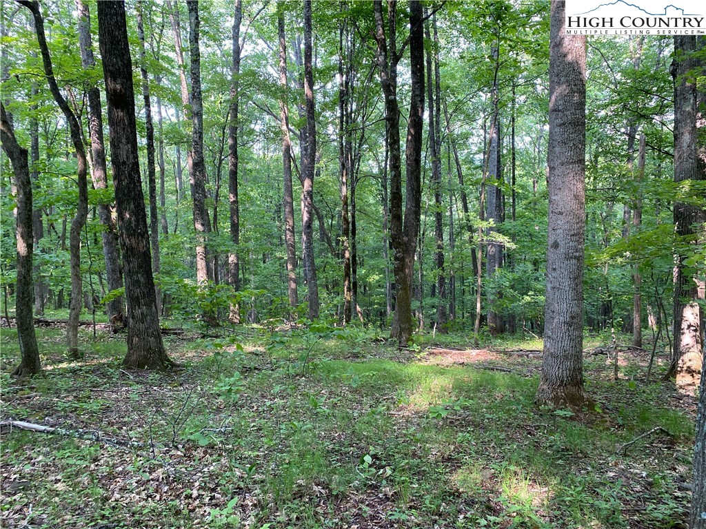 1267 Burkett Road Boone, NC 28607 - Photo 16 of 49 Gallery Image 16