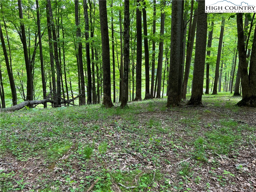 1267 Burkett Road Boone, NC 28607 - Photo 21 of 49 Gallery Image 21