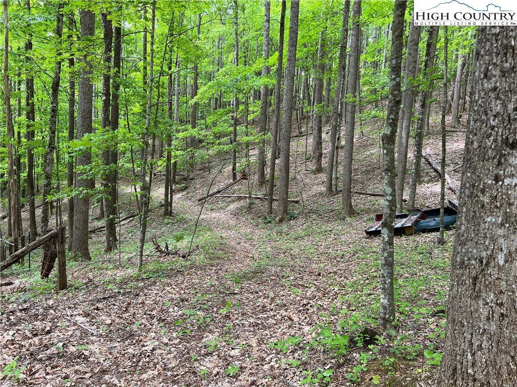 1267 Burkett Road Boone, NC 28607 - Photo 22 of 49 Gallery Image 22