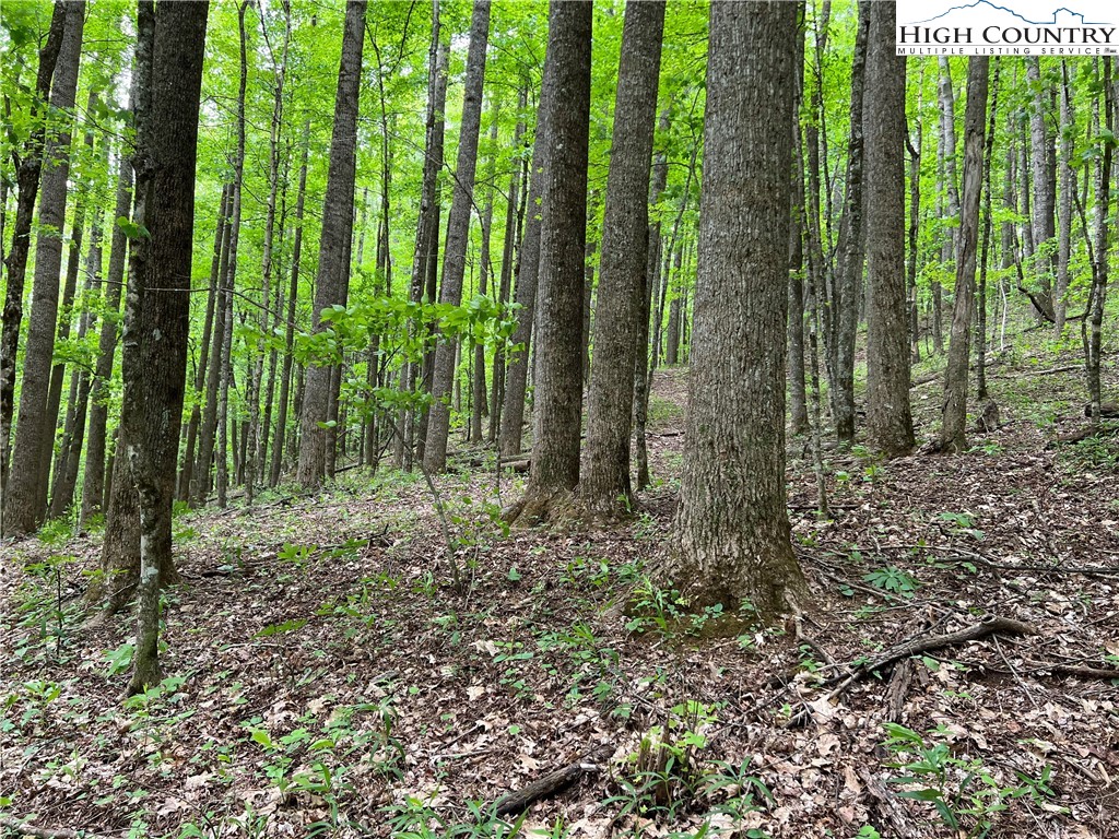 1267 Burkett Road Boone, NC 28607 - Photo 24 of 49 Gallery Image 24