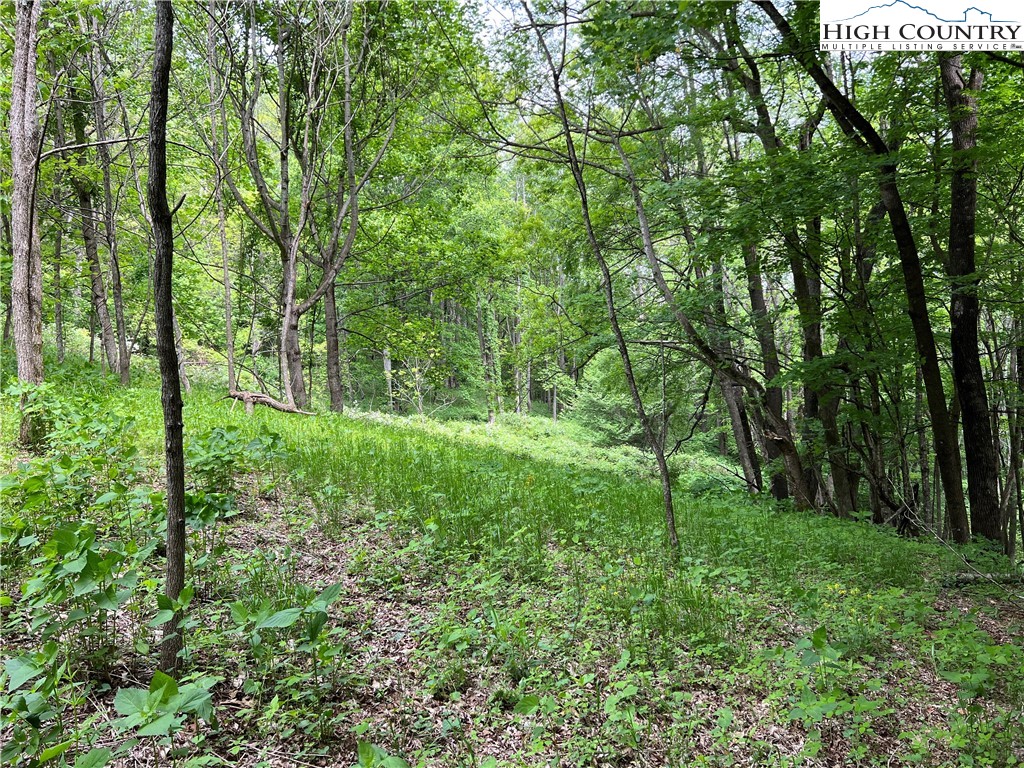 1267 Burkett Road Boone, NC 28607 - Photo 25 of 49 Gallery Image 25