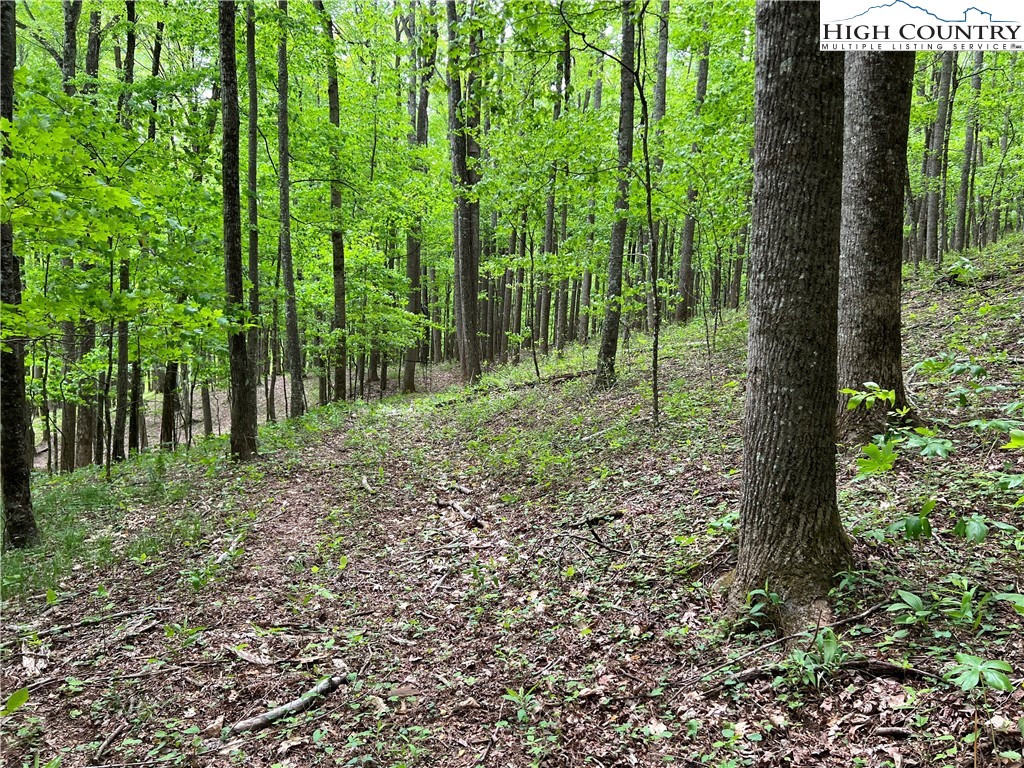 1267 Burkett Road Boone, NC 28607 - Photo 26 of 49 Gallery Image 26