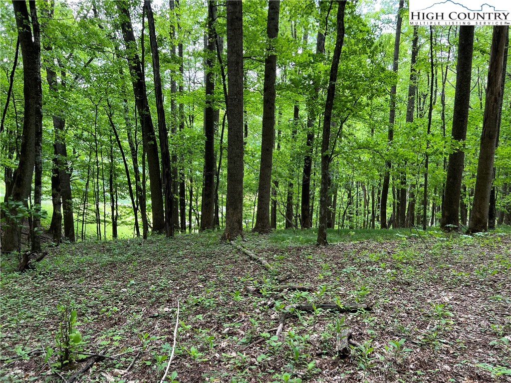 1267 Burkett Road Boone, NC 28607 - Photo 27 of 49 Gallery Image 27
