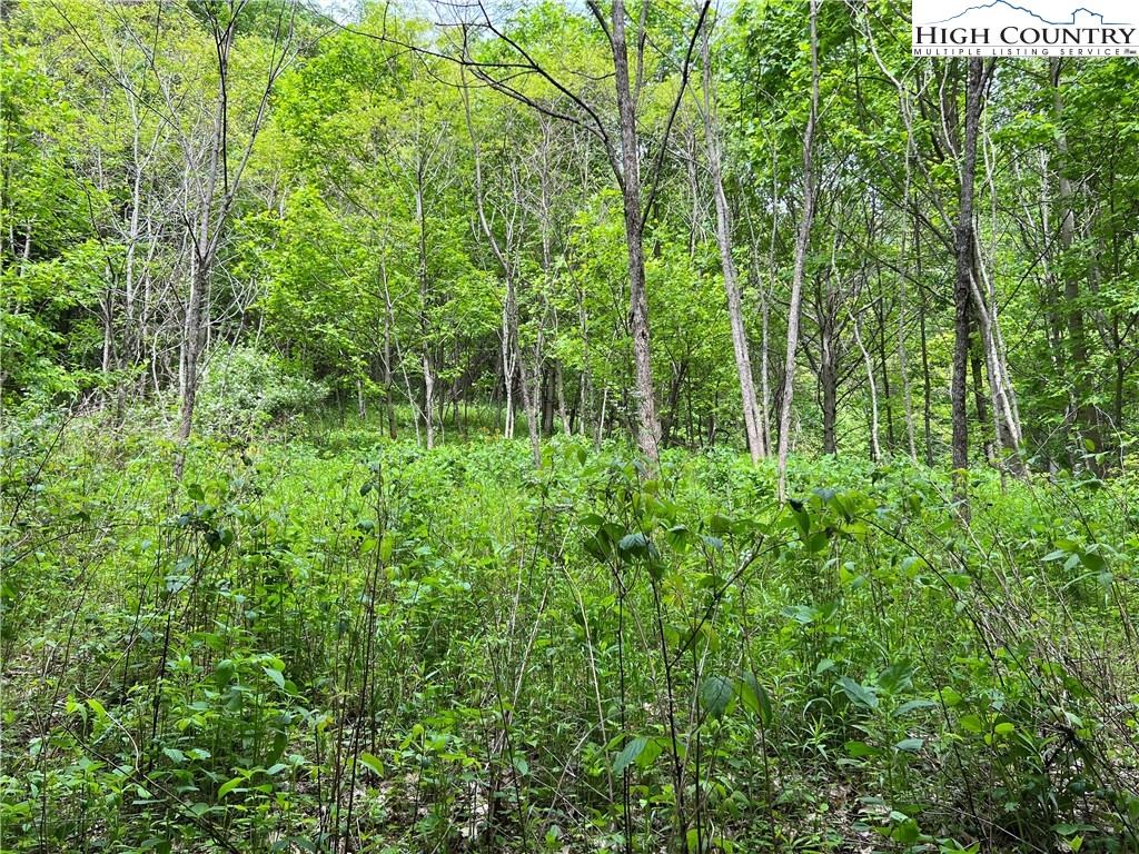 1267 Burkett Road Boone, NC 28607 - Photo 28 of 49 Gallery Image 28