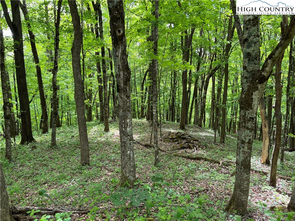 1267 Burkett Road Boone, NC 28607 - Photo 30 of 49 Gallery Image 30