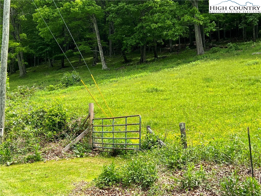 1267 Burkett Road Boone, NC 28607 - Photo 3 of 49 Gallery Image 3