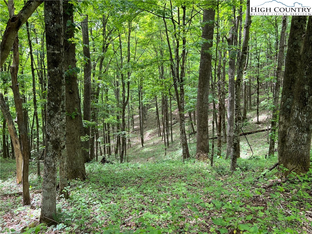 1267 Burkett Road Boone, NC 28607 - Photo 31 of 49 Gallery Image 31