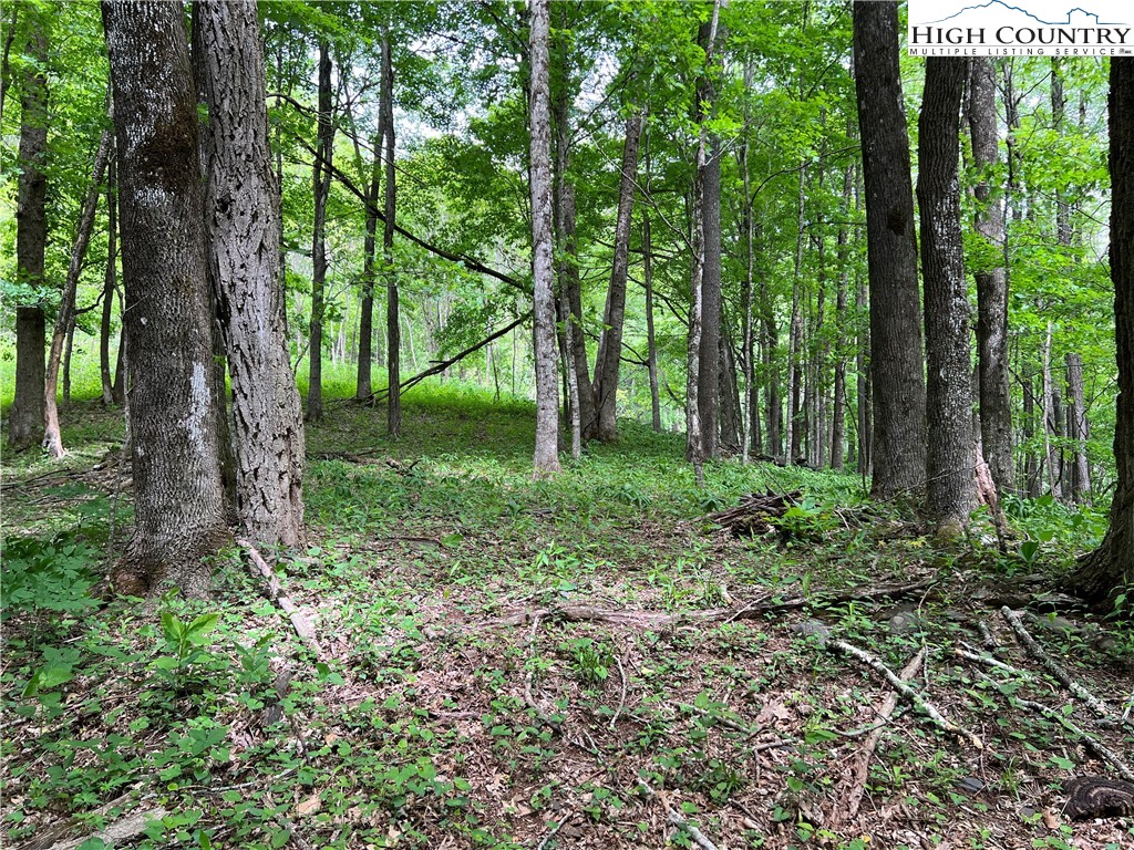 1267 Burkett Road Boone, NC 28607 - Photo 33 of 49 Gallery Image 33