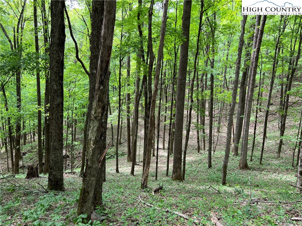 1267 Burkett Road Boone, NC 28607 - Photo 35 of 49 Gallery Image 35