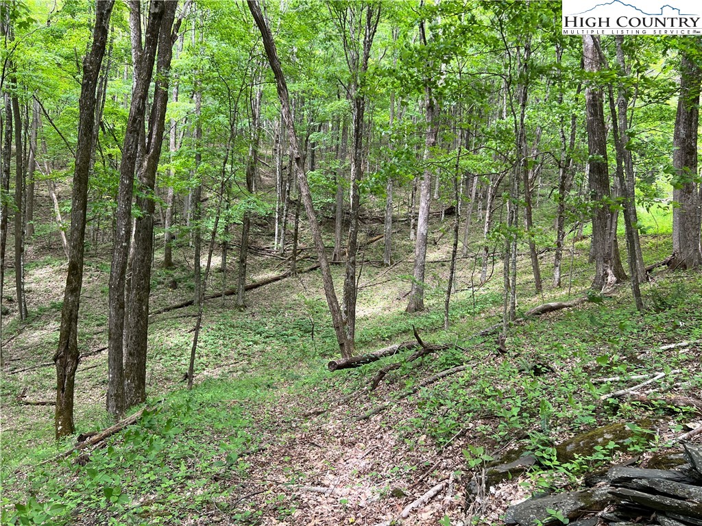 1267 Burkett Road Boone, NC 28607 - Photo 36 of 49 Gallery Image 36
