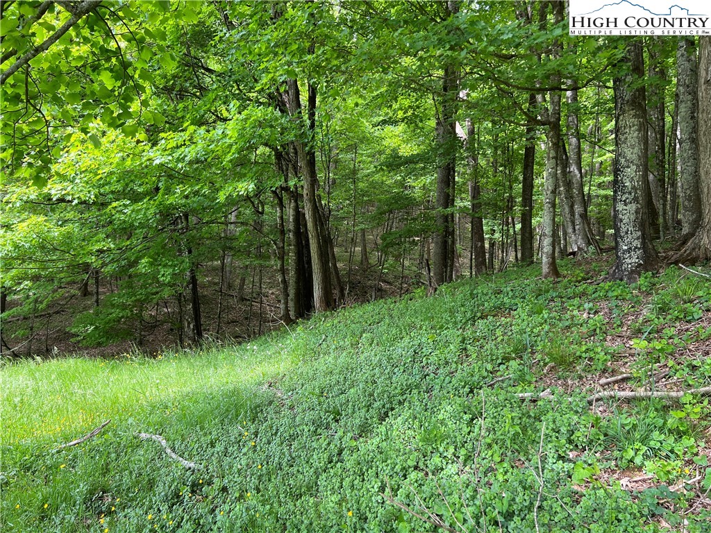 1267 Burkett Road Boone, NC 28607 - Photo 38 of 49 Gallery Image 38