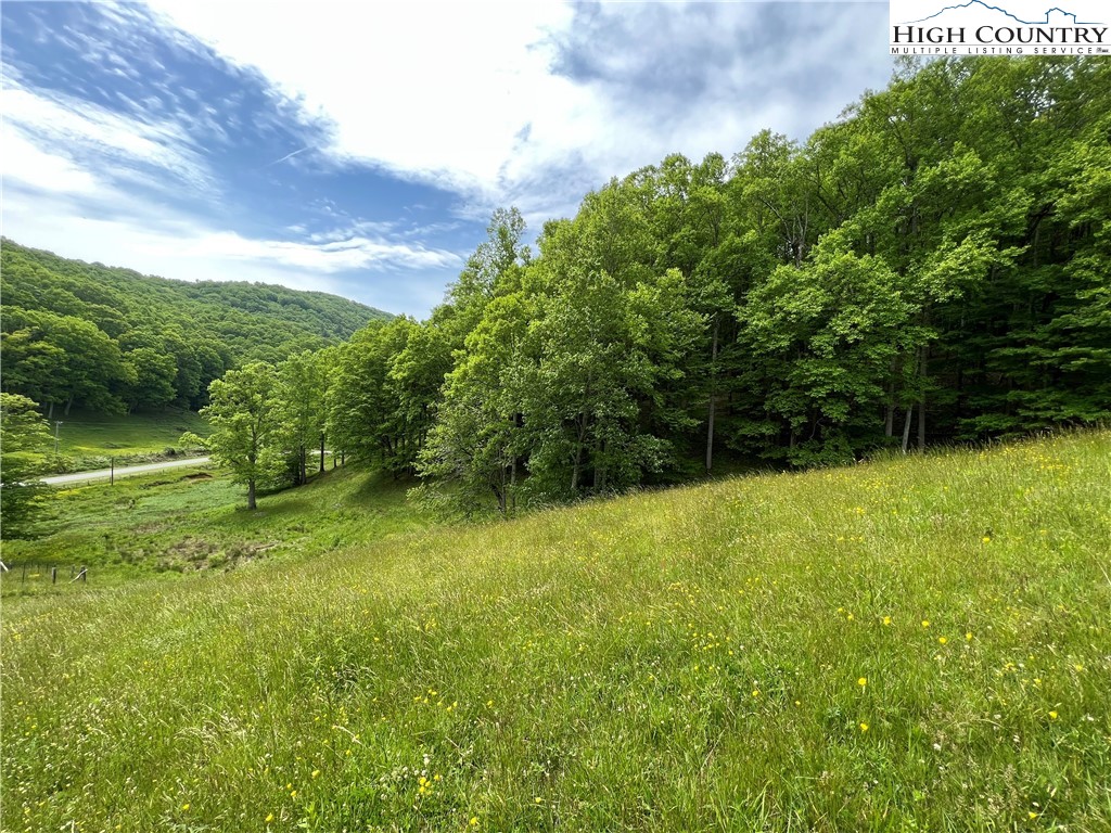 1267 Burkett Road Boone, NC 28607 - Photo 39 of 49 Gallery Image 39