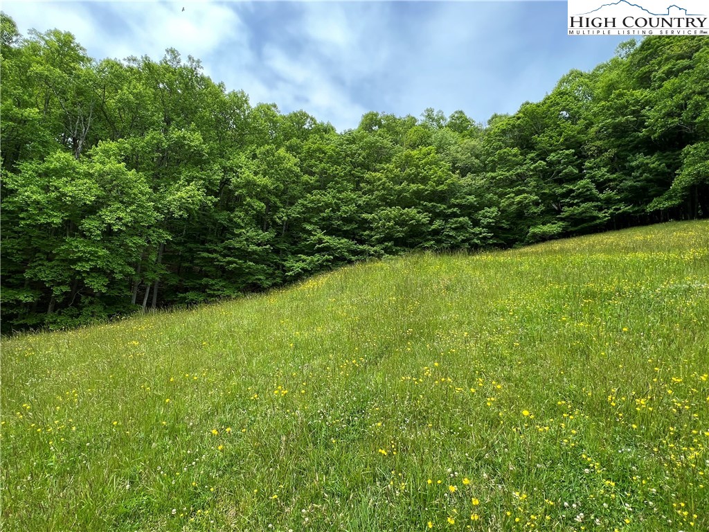 1267 Burkett Road Boone, NC 28607 - Photo 40 of 49 Gallery Image 40