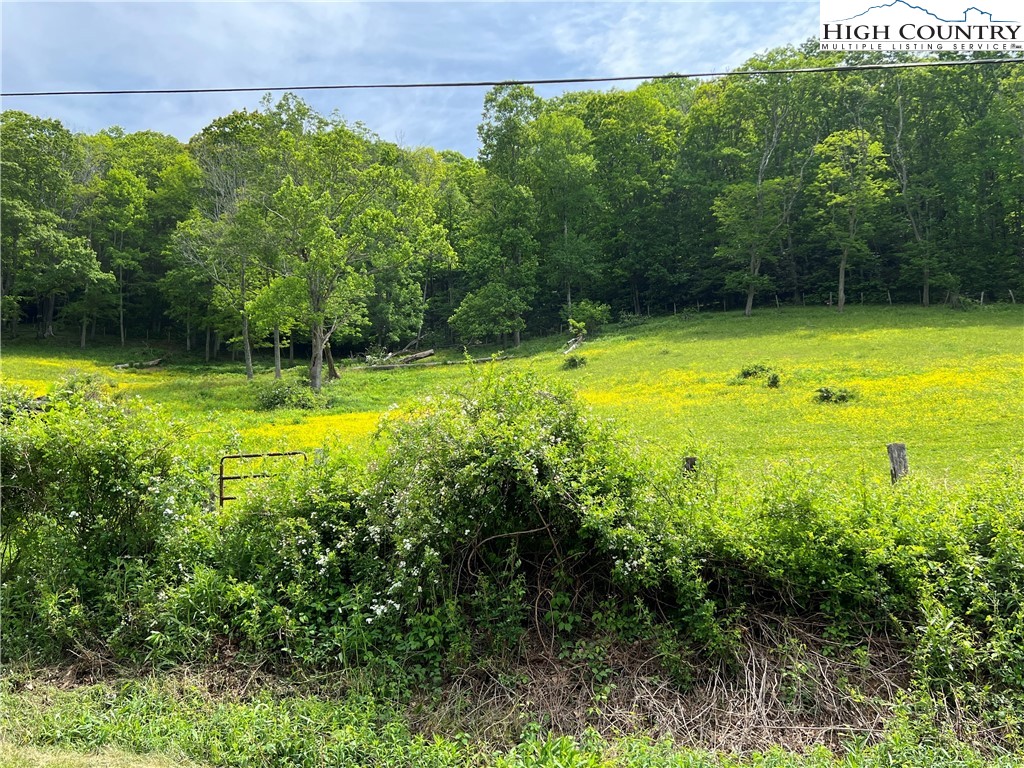 1267 Burkett Road Boone, NC 28607 - Photo 4 of 49 Gallery Image 4
