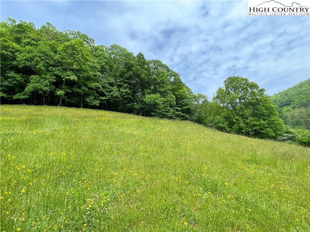 1267 Burkett Road Boone, NC 28607 - Photo 41 of 49 Gallery Image 41