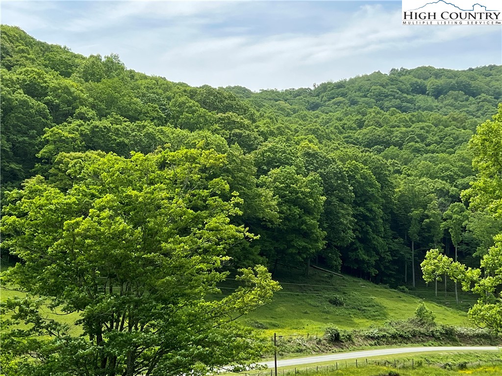1267 Burkett Road Boone, NC 28607 - Photo 42 of 49 Gallery Image 42