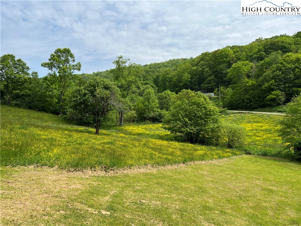 1267 Burkett Road Boone, NC 28607 - Photo 45 of 49 Gallery Image 45