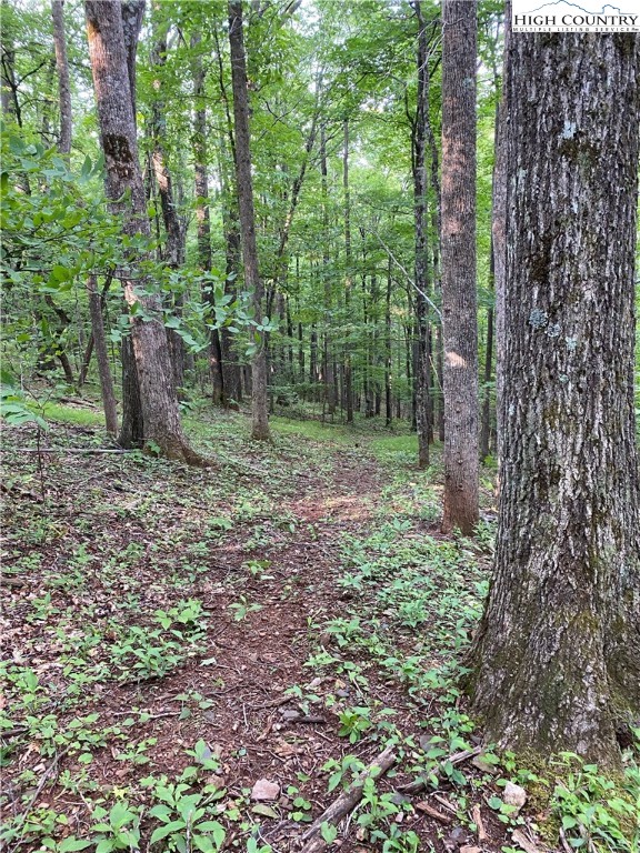 1267 Burkett Road Boone, NC 28607 - Photo 48 of 49 Gallery Image 48