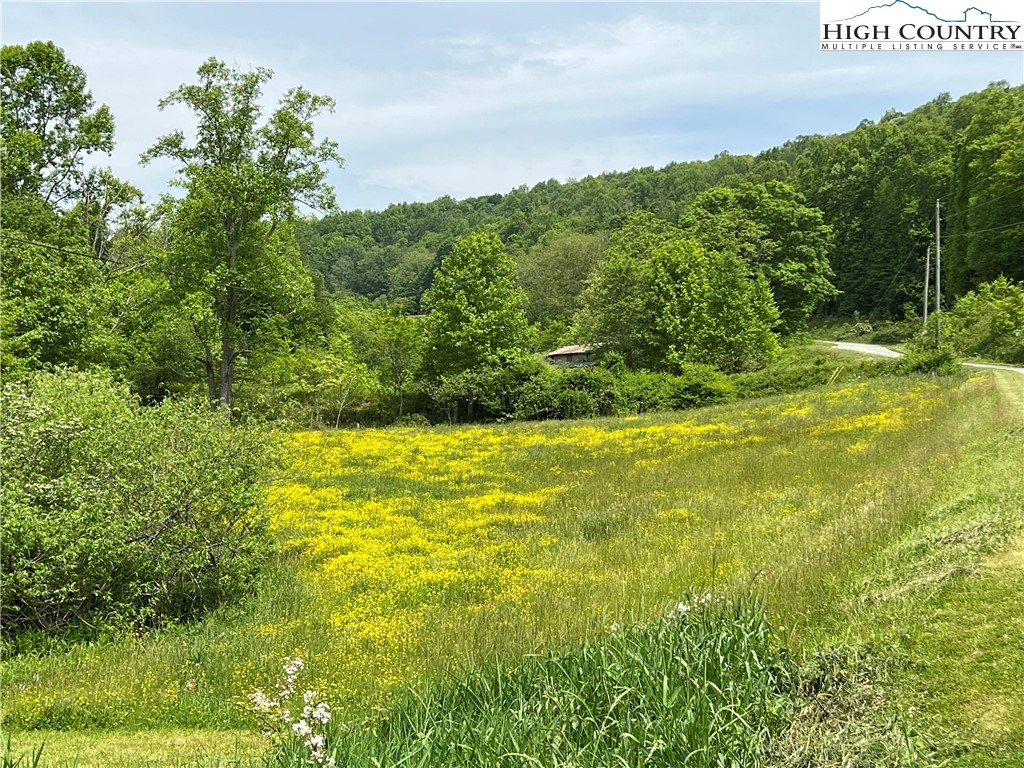 1267 Burkett Road Boone, NC 28607 - Photo 5 of 49 Gallery Image 5
