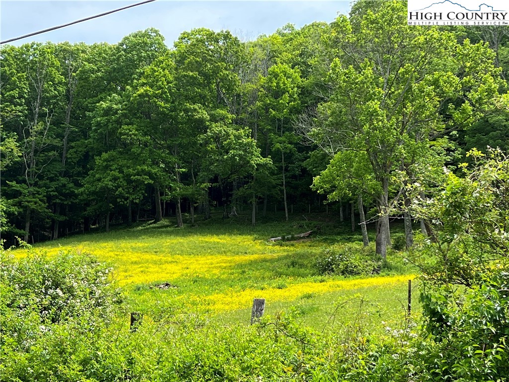 1267 Burkett Road Boone, NC 28607 - Photo 7 of 49 Gallery Image 7