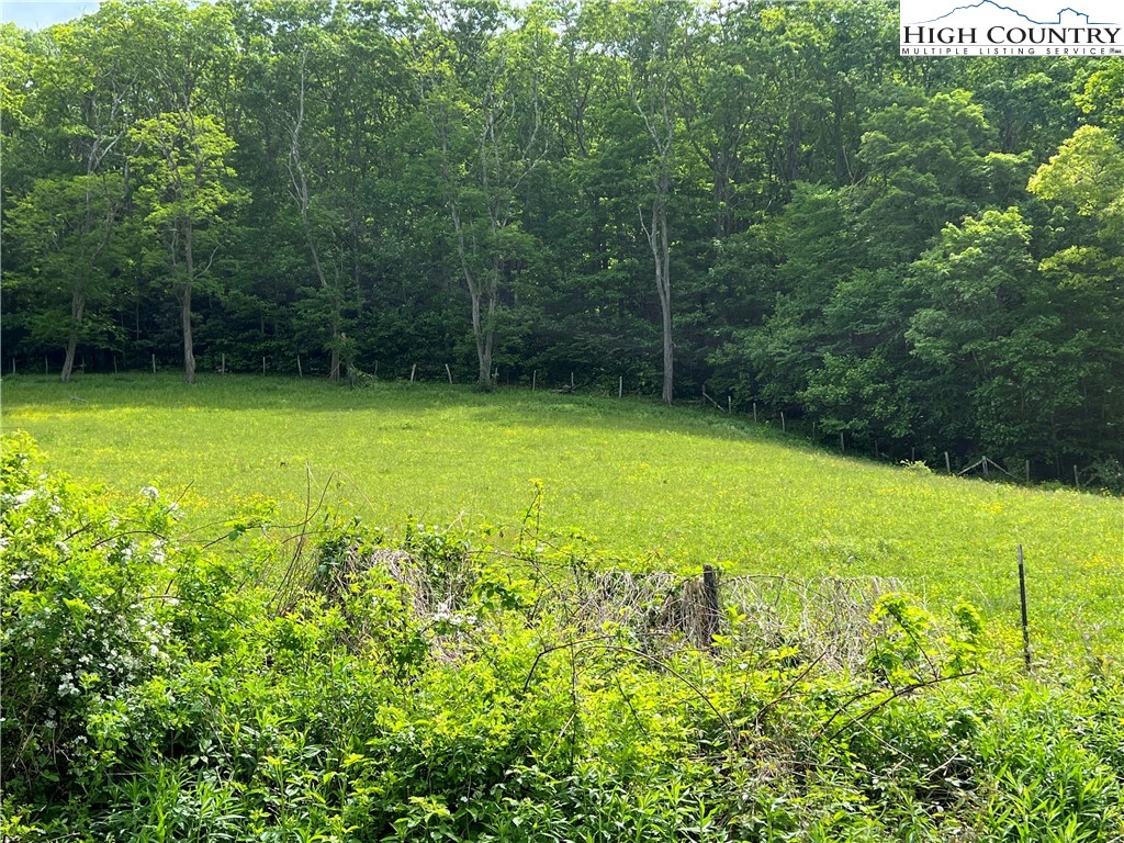 1267 Burkett Road Boone, NC 28607 - Photo 8 of 49 Gallery Image 8