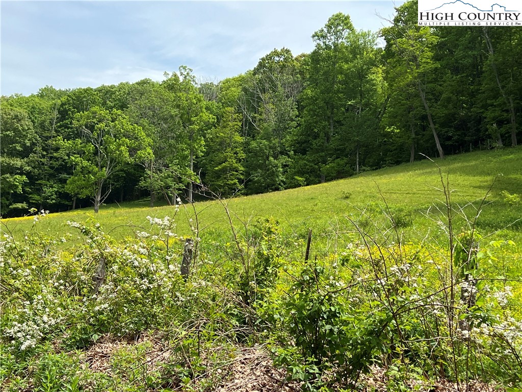 1267 Burkett Road Boone, NC 28607 - Photo 10 of 49 Gallery Image 10