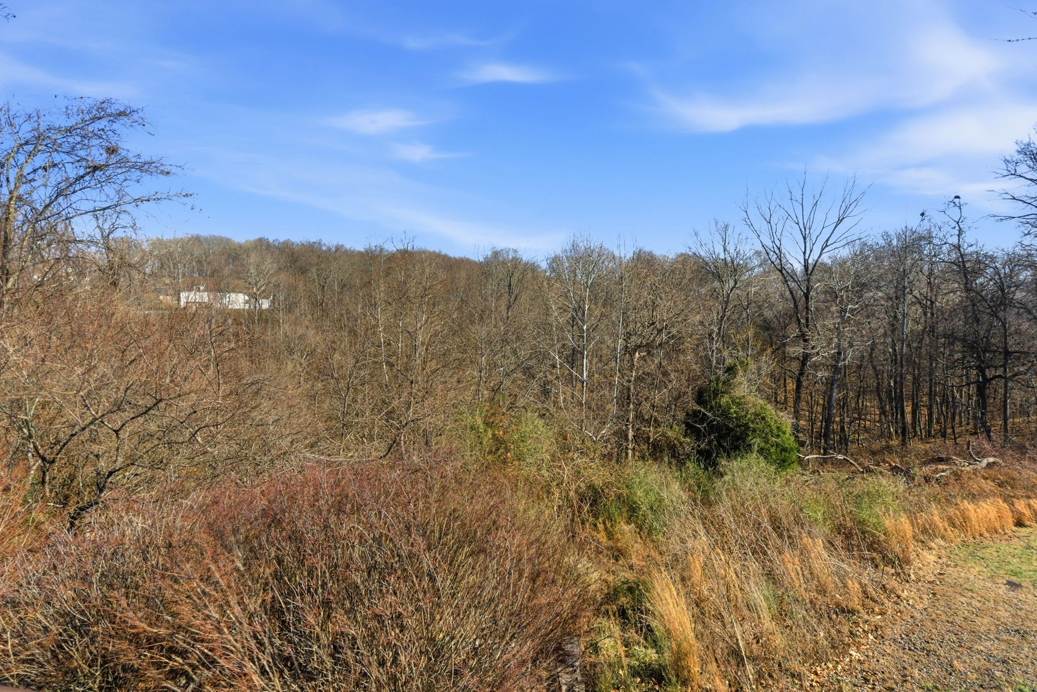 4357 Airport Road Springfield, TN 37172 - Photo 43 of 49 a view of a yard with a mountain in the background