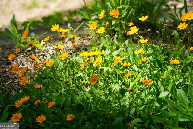 $1,100,000 | 1289 Rainwater Trail, Tiger, GA 30576