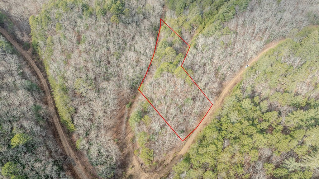 1.03 Deep Frst Road Murphy, NC 28906 - Photo 23 of 28