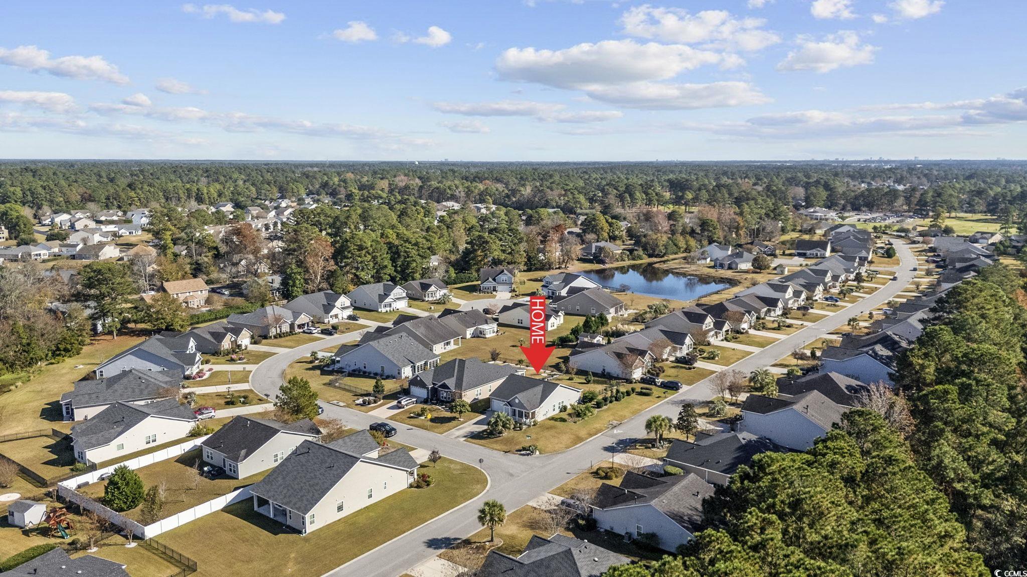 800 Wilcot Branch Court Conway, SC 29526 - Photo 29 of 29