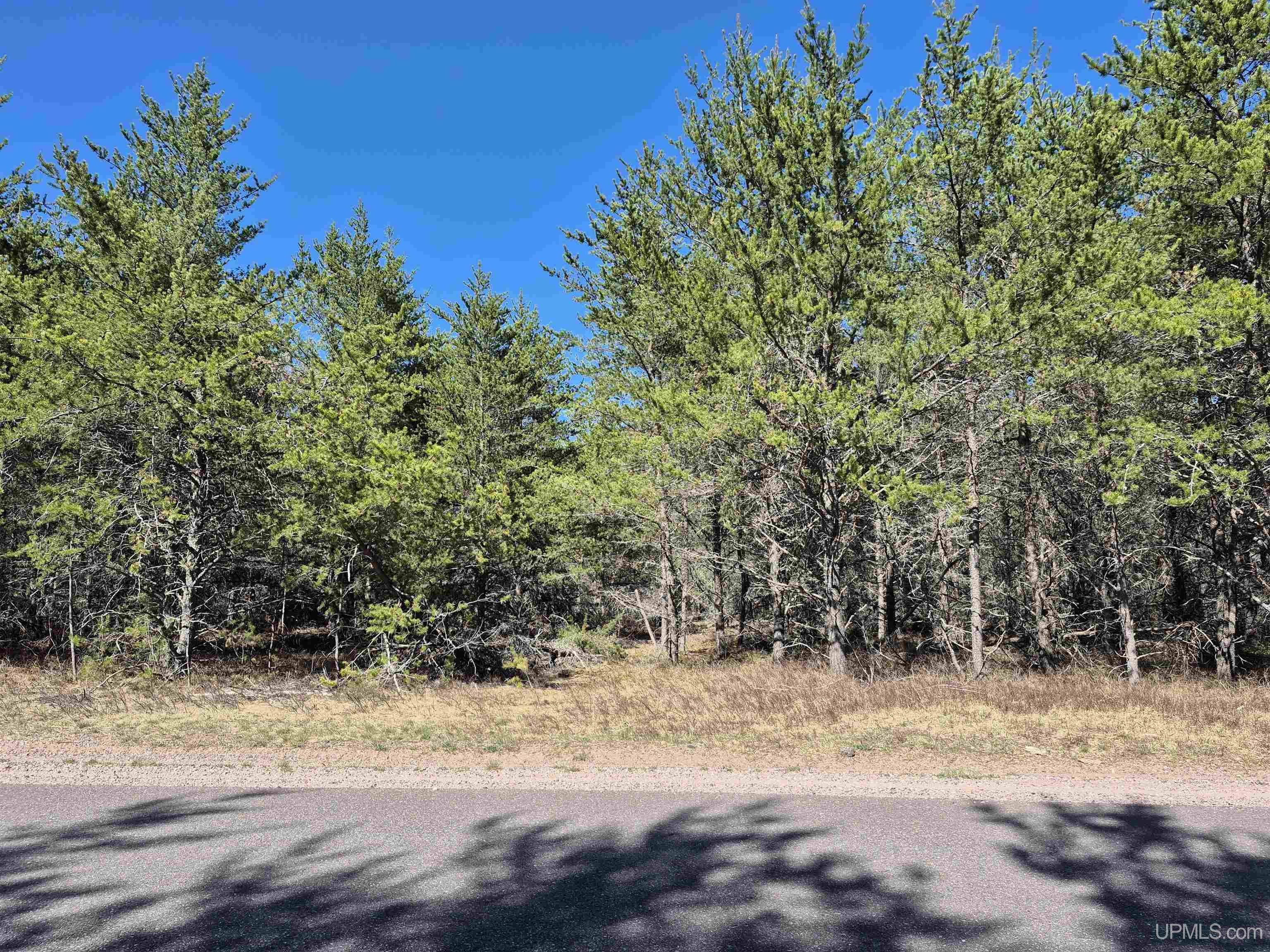2 Rice Lake Road Gwinn, MI 49841 - Photo 6 of 24