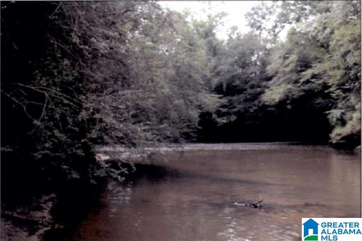 0 County Road 83, Unit 2 Heflin, AL 36264 - Photo 1 of 8