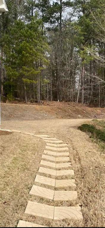 4198 Ridgeside Terrace Snellville, GA 30039 - Photo 2 of 13