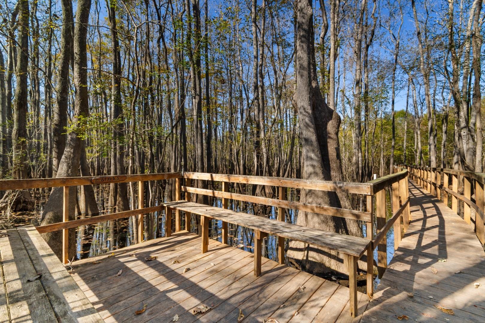 881 Rowe Pond Road Conway, SC 29526 - Photo 29 of 40