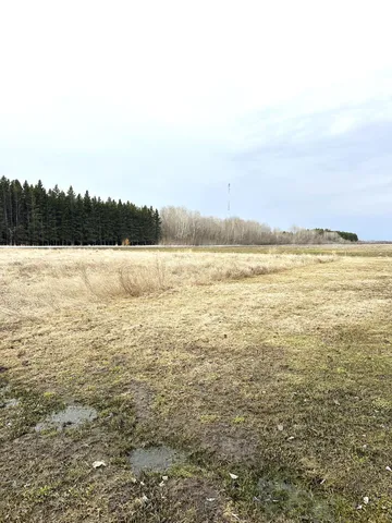 $300,000 | Tbd Maple Dr N Drive West, Baudette, MN 56623