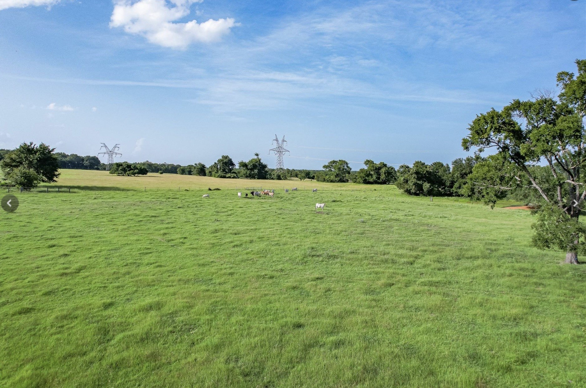 6388 Red Rock Road Franklin, TX 77856 - Photo 4 of 6 a view of a field with an ocean