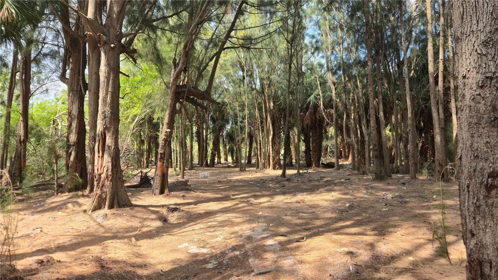 Freeboard Court Hudson, FL 34667 - Photo 11 of 18 a view of outdoor space with trees