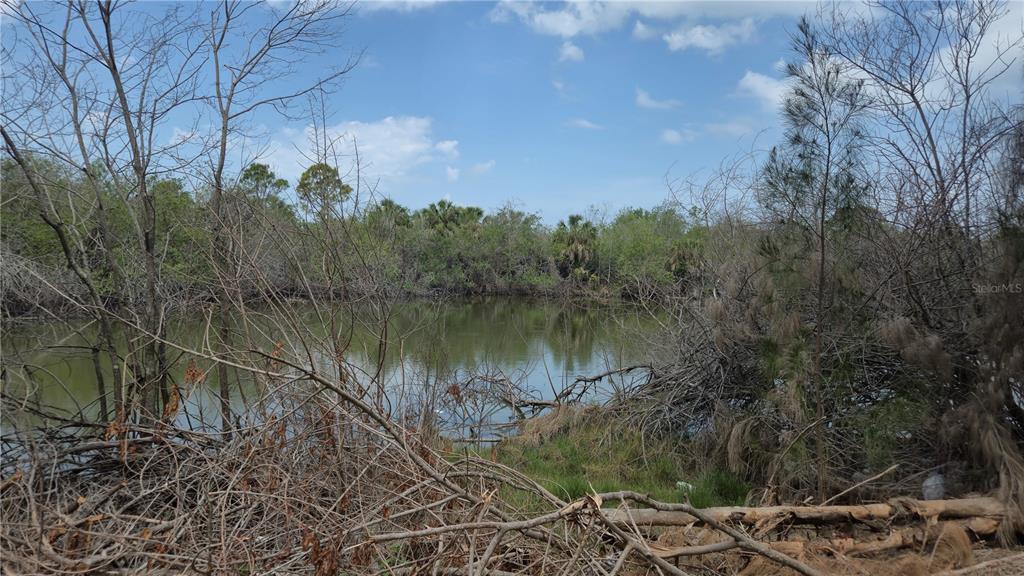 Freeboard Court Hudson, FL 34667 - Photo 13 of 18 a view of a lake in middle of forest