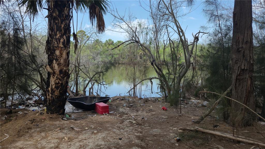 Freeboard Court Hudson, FL 34667 - Photo 14 of 18 a backyard of a house with lots of green space