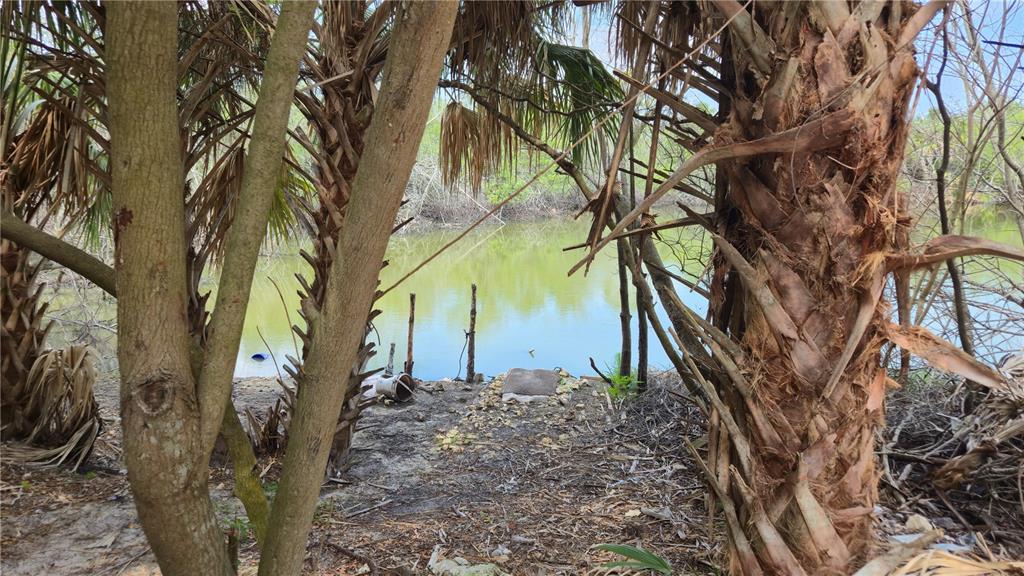 Freeboard Court Hudson, FL 34667 - Photo 2 of 18 a view of a yard with plants and trees