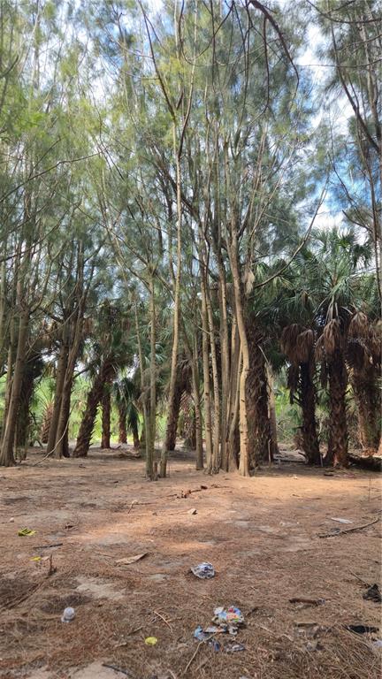 Freeboard Court Hudson, FL 34667 - Photo 7 of 18