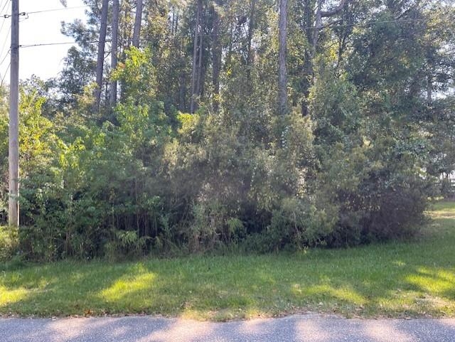 8897 County Road 12 Foley, AL 36535 - Photo 1 of 4