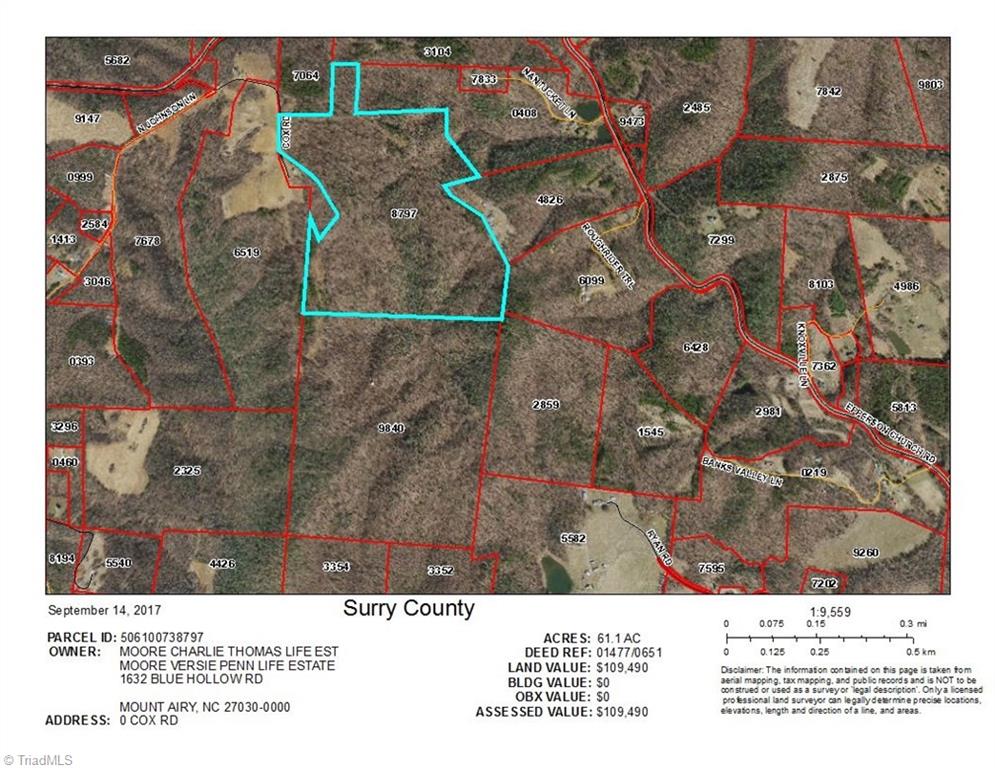 0 Cox Road Mount Airy, NC 27030 - Photo 3 of 4 Gallery Image 3