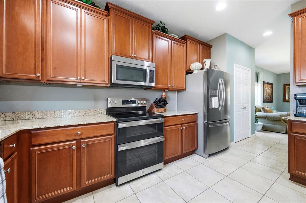 30106 Cheval Street Mount Dora, FL 32757 - Photo 15 of 90