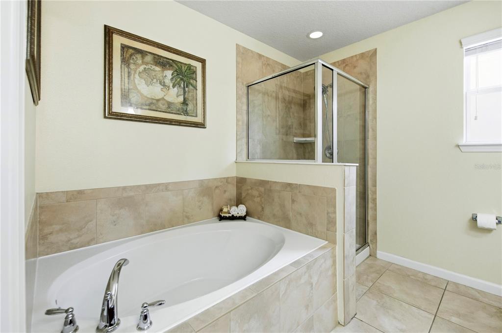 30106 Cheval Street Mount Dora, FL 32757 - Photo 42 of 90