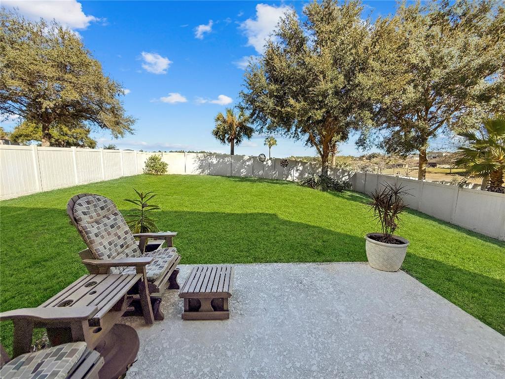 30106 Cheval Street Mount Dora, FL 32757 - Photo 46 of 90