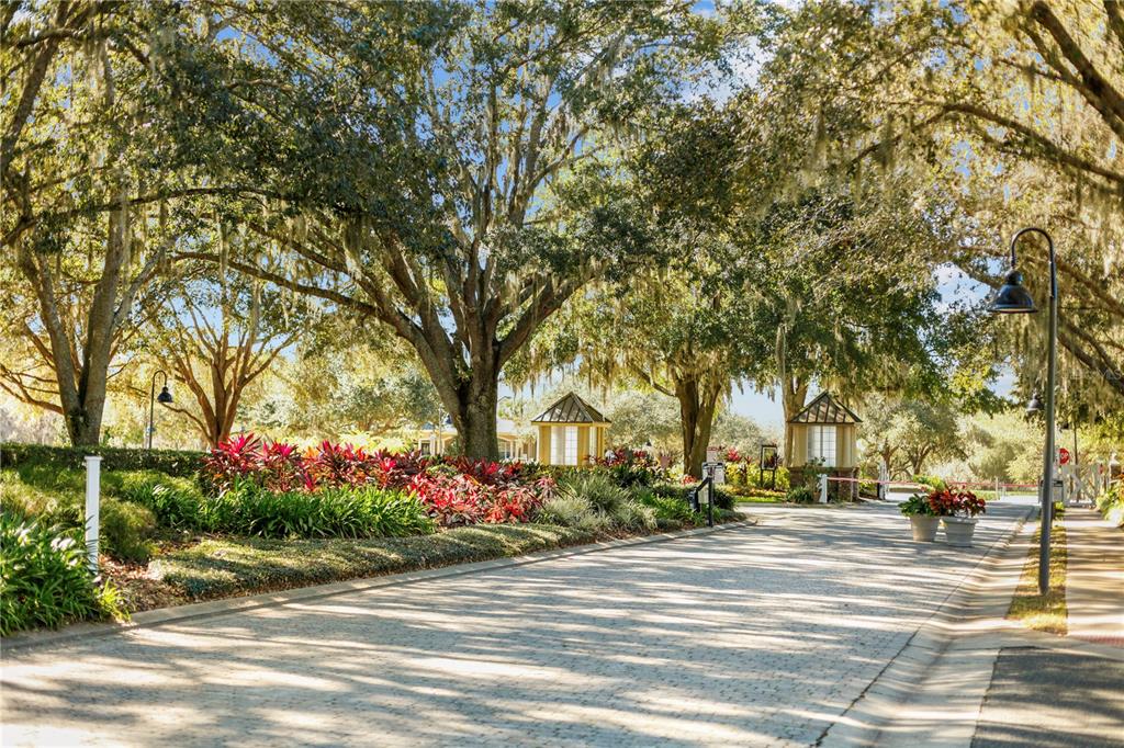 30106 Cheval Street Mount Dora, FL 32757 - Photo 48 of 90