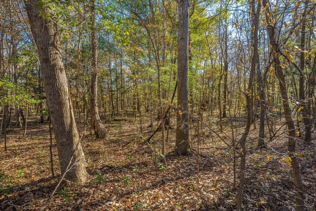 $475,000 | 9464 Falling Embers Lane, Ladson, SC 29456