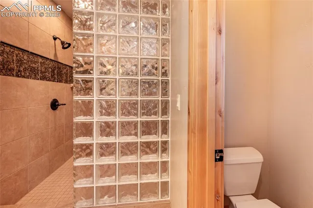 a bathroom with a toilet and a shower